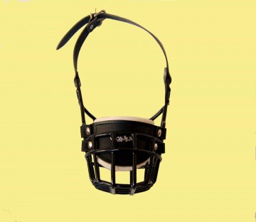 137084051613277092303814916116992057756924o