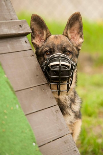 1469203816516568651325033034852927349142186o