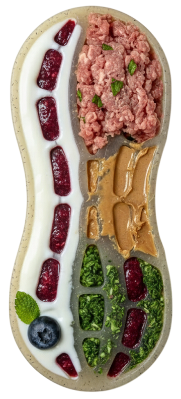 A photograph of the brown peanut toy filled with s3 photoroom1080x