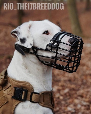 Img20220320145332033 02