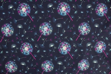 Kleurrijke paardebloemen