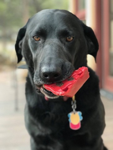 Sodapup dog toys sp cherry pie ultra durable nylon dog chew toy and treat holder for aggressive chewers red 13697418821766