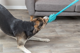 Trixie bungee dummy 2